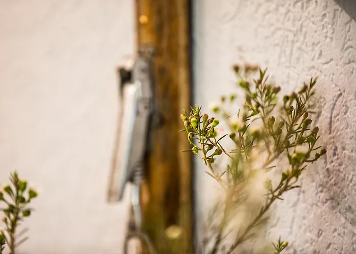 Anderschitz Landhotel Отель Фатерштеттен