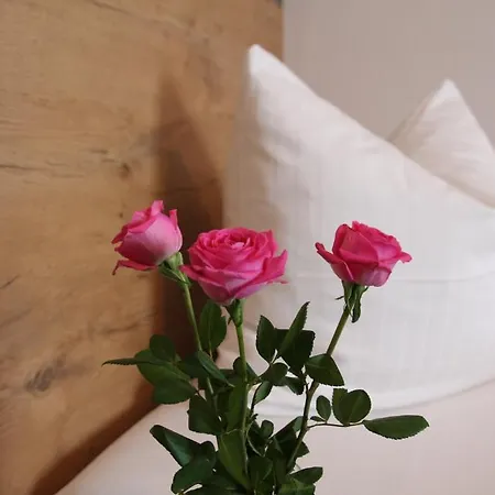 安德尔施茨酒店 酒店